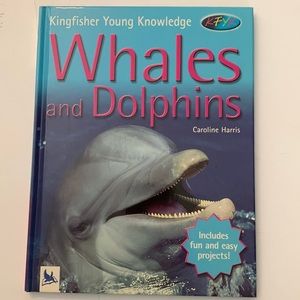 Whales and dolphins by Caroline Harris